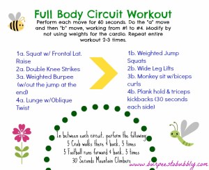 Full Body Circuit Workout