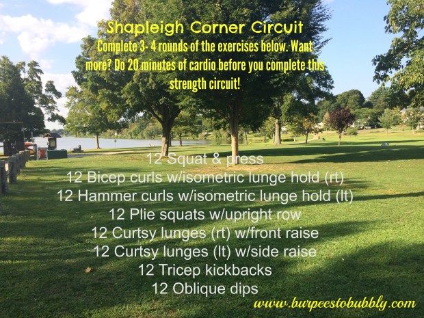 Shapleigh Corner Circuit