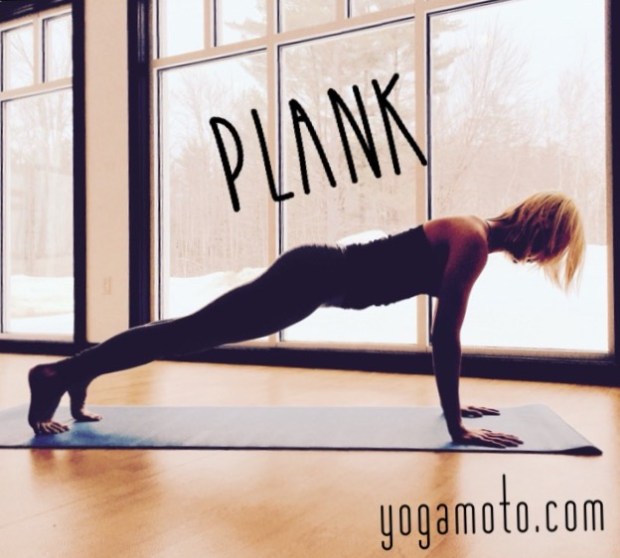 Malidna guest post Plank