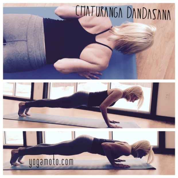 Malinda guest post Chaturanga Dandasana