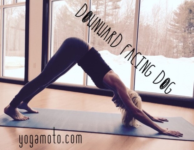 Malinda guest post Downward Facing Dog