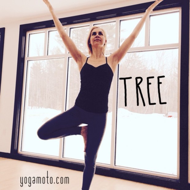 Malinda guest post Tree