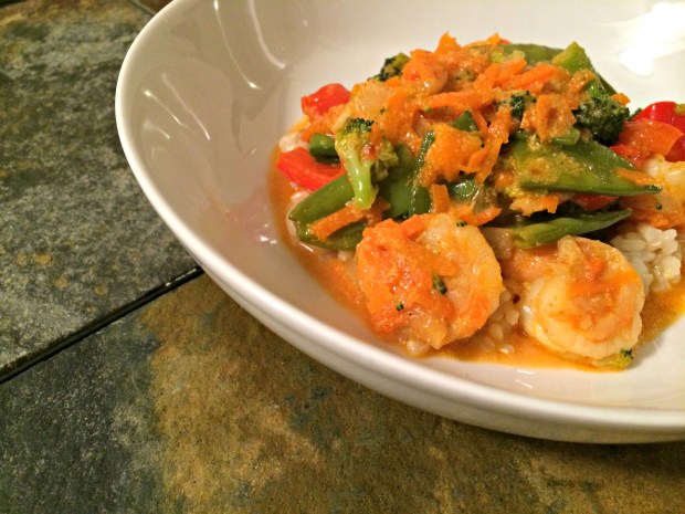 shrimp & veggie curry dish 3