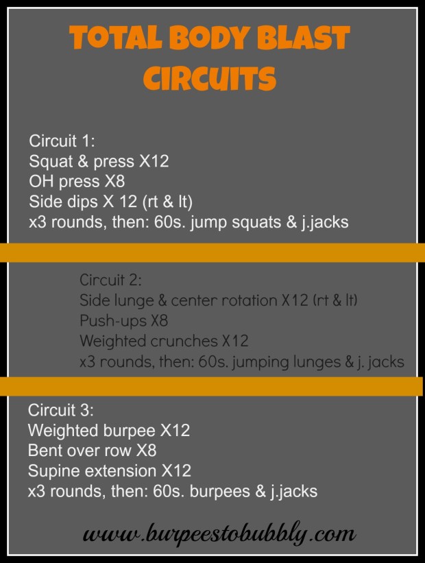 Total body blast circuits