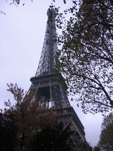 197104_504256700108_7087_n