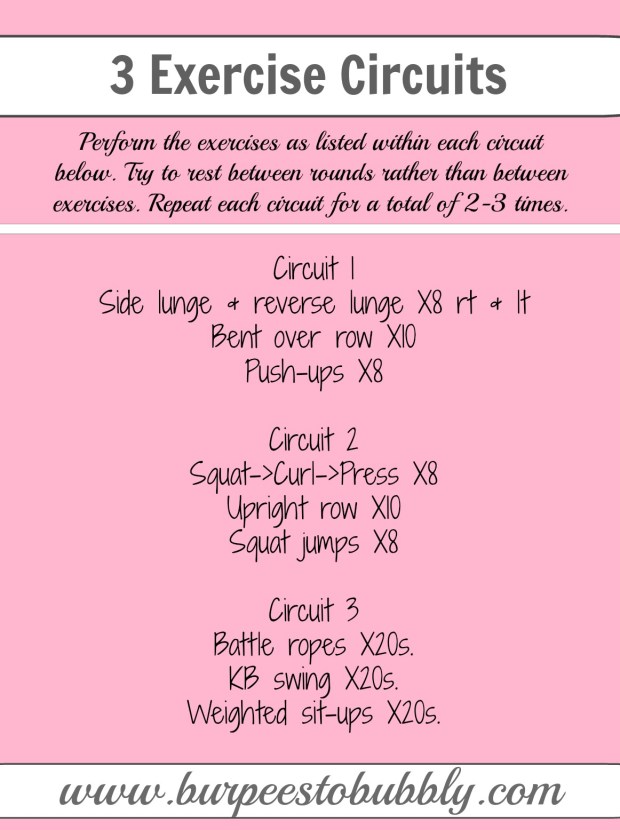 3 exercise circuits